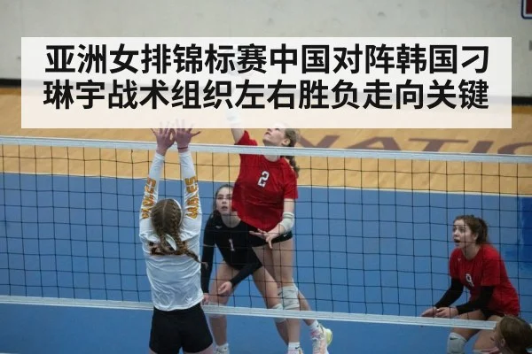 volleyball setter action