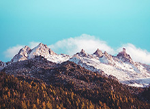 半岛体育官网-约翰逊19+14+7布朗21+7 老鹰胜绿军豪取四连胜